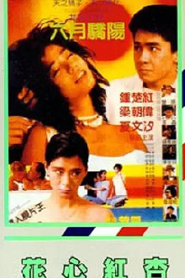 免费视频xnxx com
