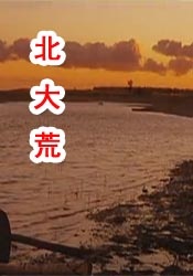 裸体写真视频网