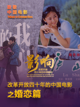 nvisual有破解版的吗